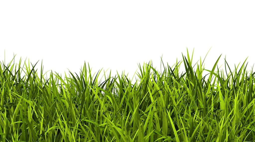 Gras Treuhand Wirtschaftsprüfer Steuerberater